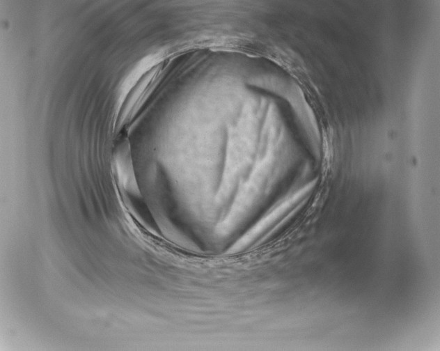 X0000052930003200507221133