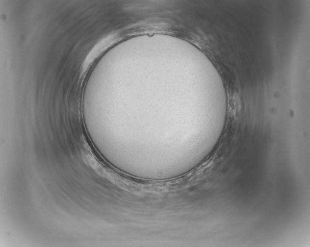 X0000052930004200507221133