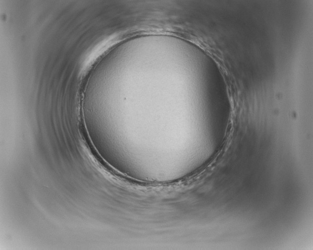 X0000052930005200507221133