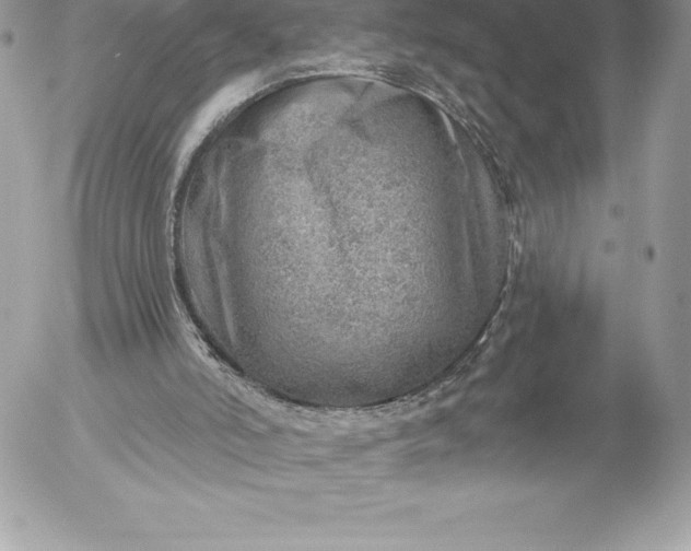 X0000052930006200507221133