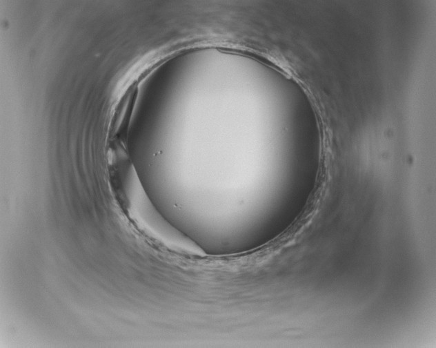 X0000052930007200507221133