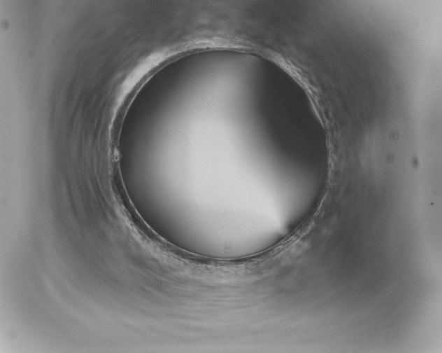 X0000052930008200507221133