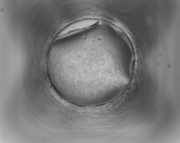 X0000052930009200507221133