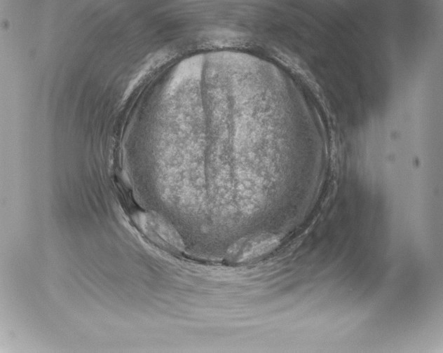 X0000052930010200507221133