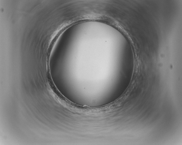 X0000052930011200507221133