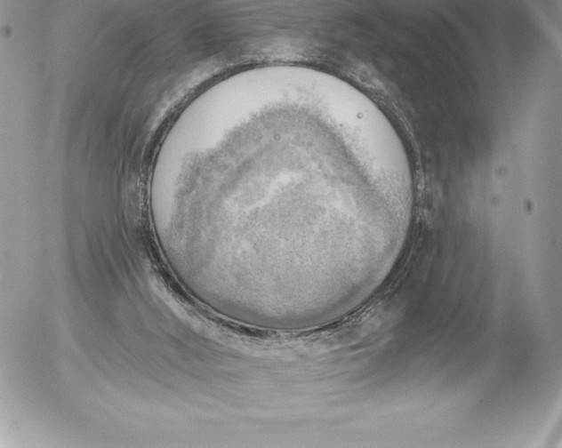 X0000052930012200507221133