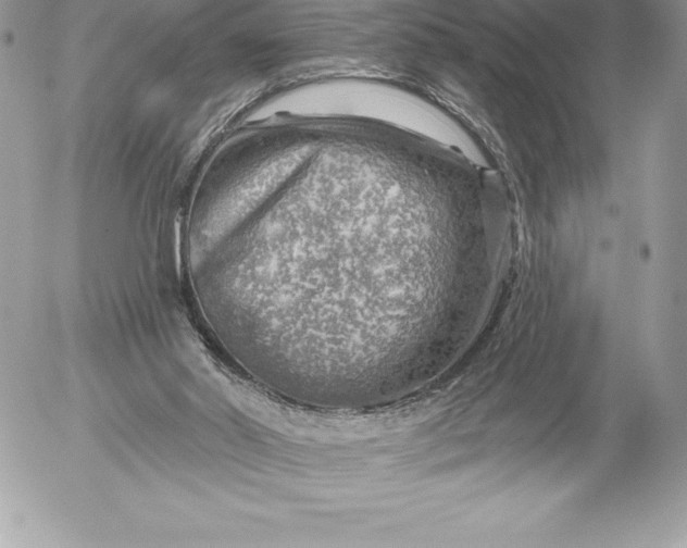 X0000052930014200507221133