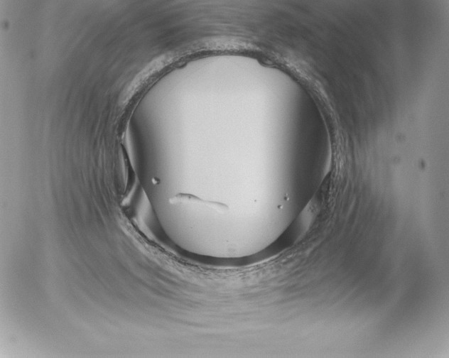 X0000052930015200507221133