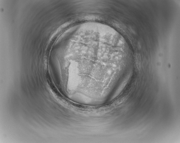 X0000052930016200507221133