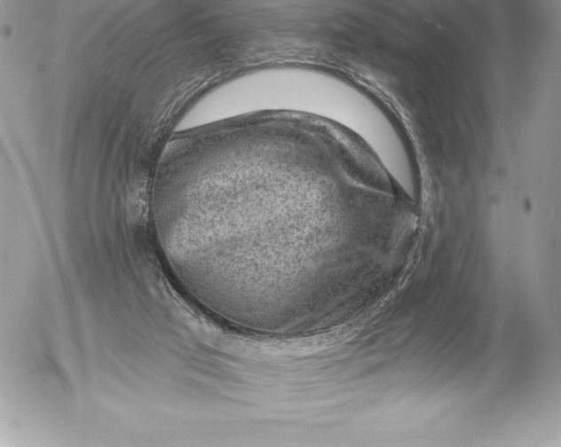 X0000052930017200507221133