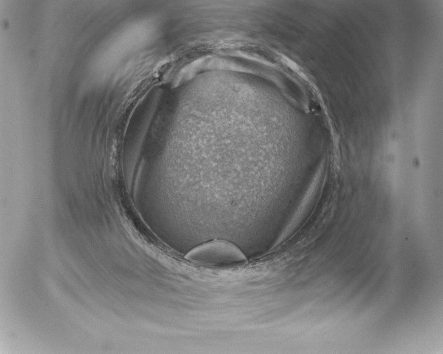 X0000052930018200507221133