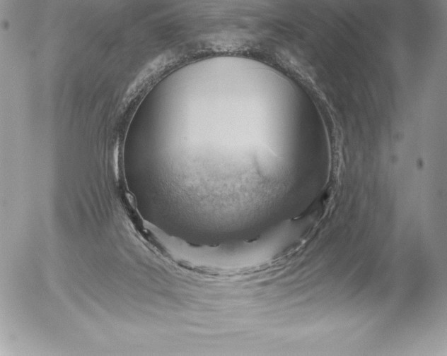 X0000052930019200507221133