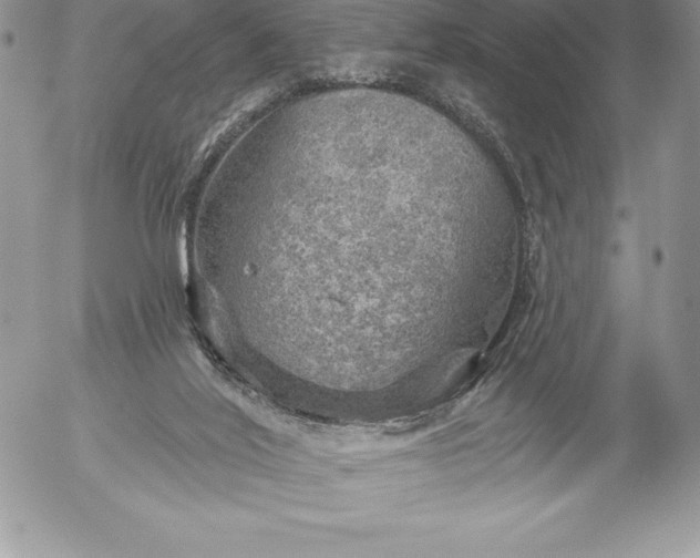 X0000052930020200507221133