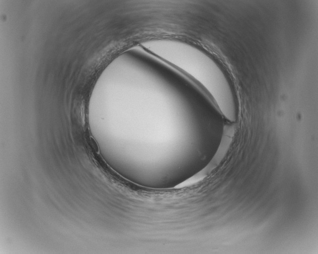 X0000052930021200507221133