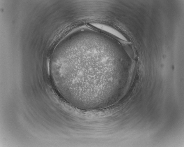 X0000052930022200507221133