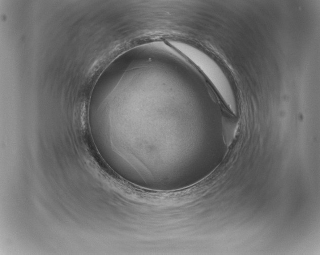 X0000052930023200507221133