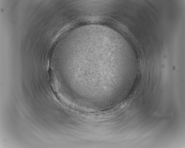 X0000052930024200507221133