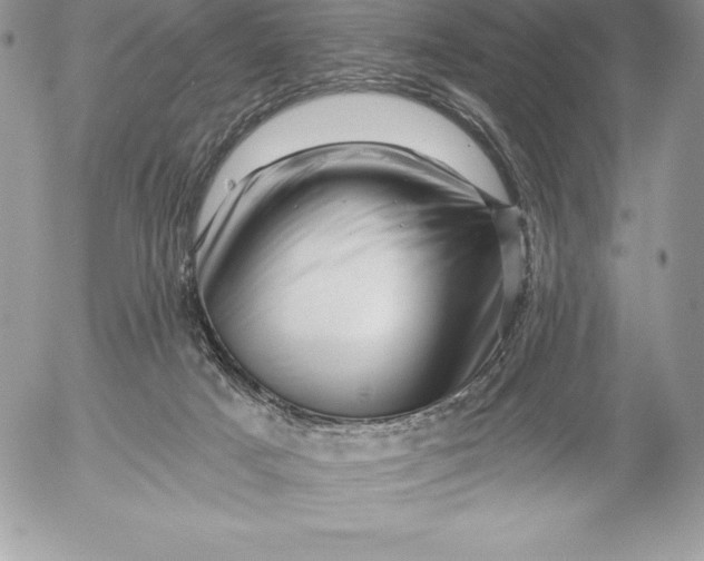 X0000052930025200507221133