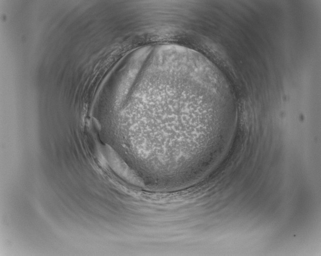 X0000052930026200507221133