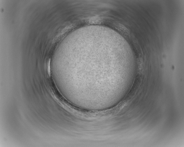 X0000052930028200507221133