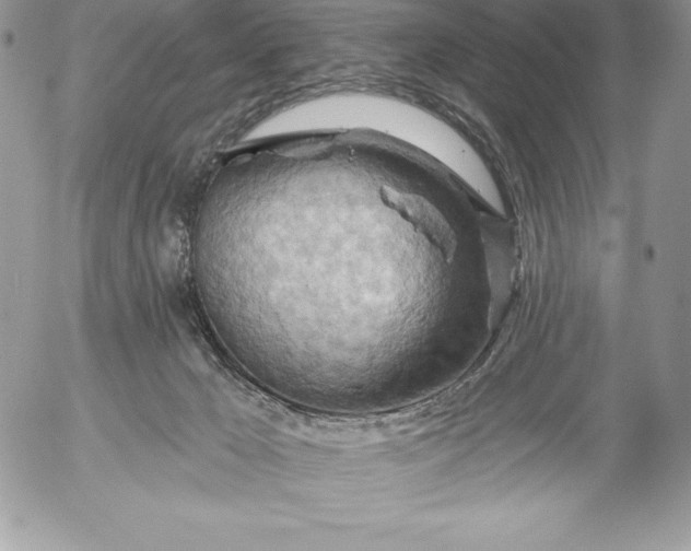 X0000052930029200507221133