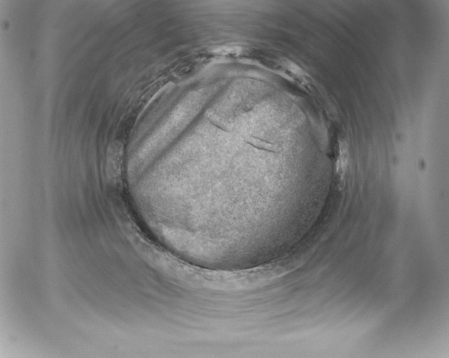 X0000052930030200507221133