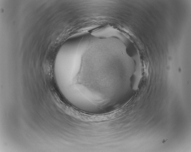 X0000052930031200507221133