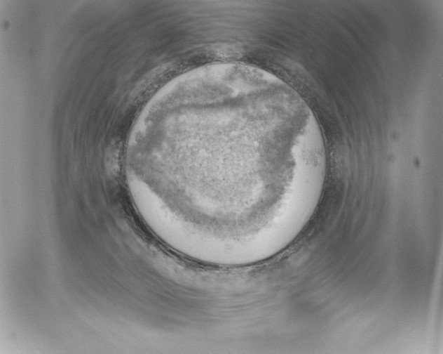 X0000052930032200507221132