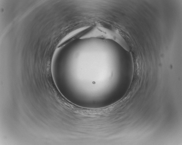 X0000052930033200507221132