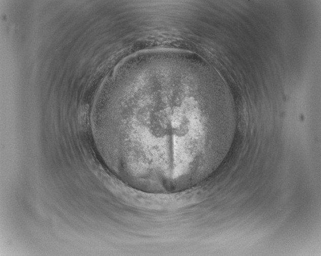 X0000052930034200507221132