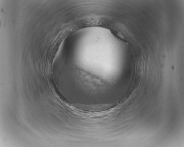 X0000052930035200507221132