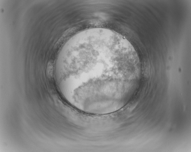 X0000052930036200507221132