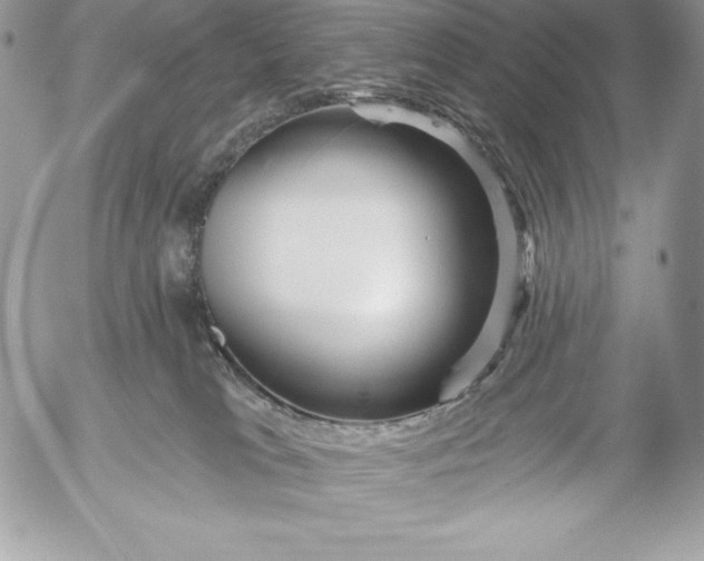 X0000052930037200507221132