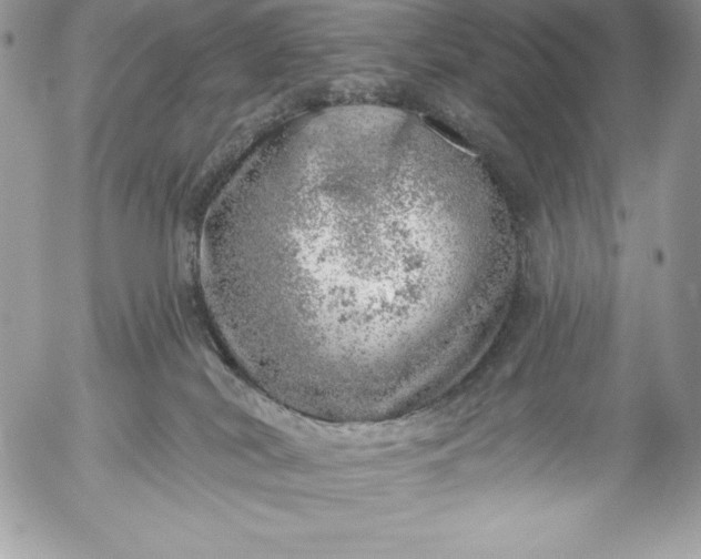 X0000052930038200507221132