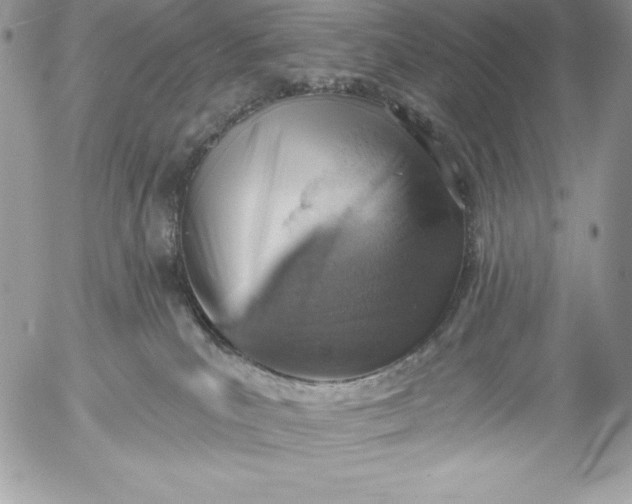 X0000052930039200507221132