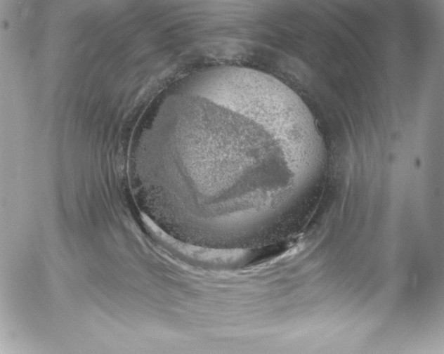 X0000052930040200507221132