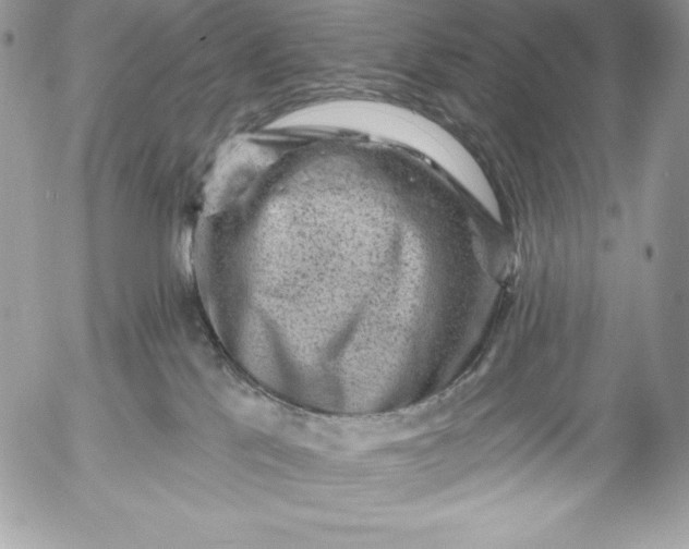 X0000052930041200507221132