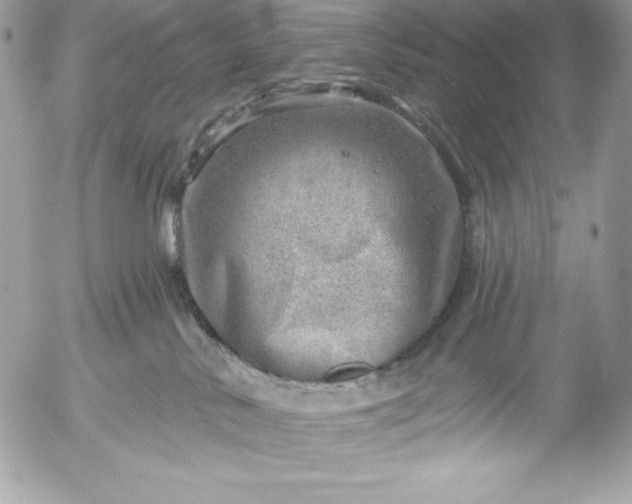 X0000052930042200507221132