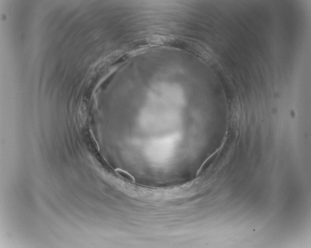 X0000052930043200507221132