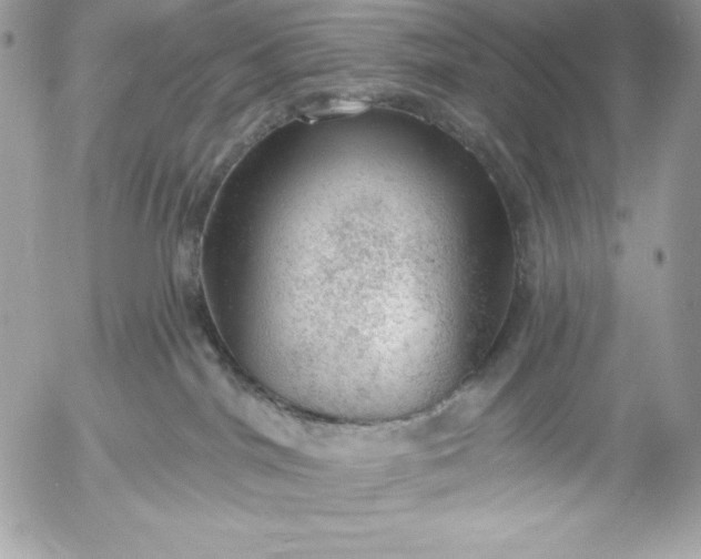 X0000052930044200507221132