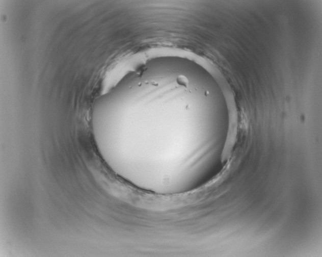 X0000052930045200507221132