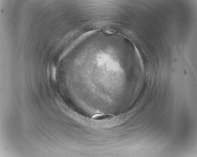 X0000052930046200507221132