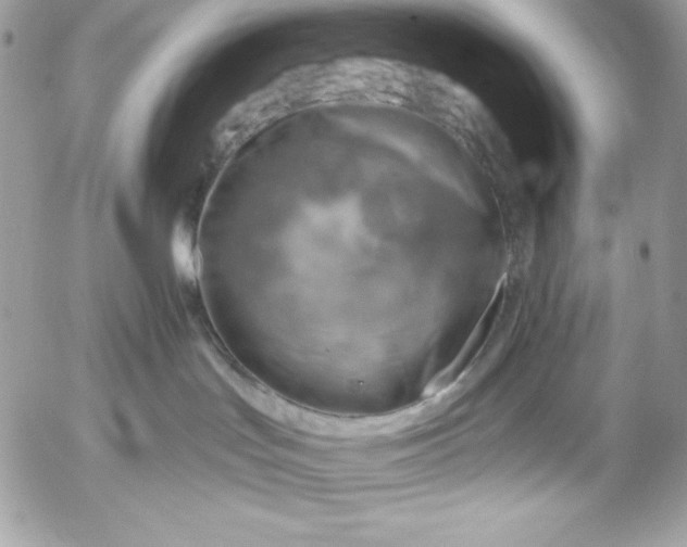 X0000052930047200507221132