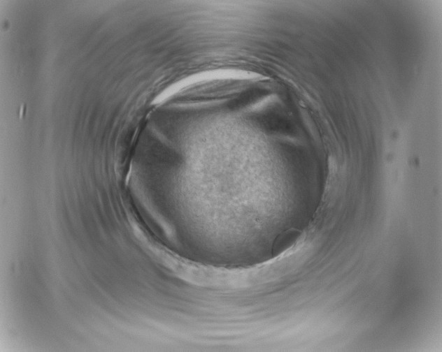 X0000052930048200507221132