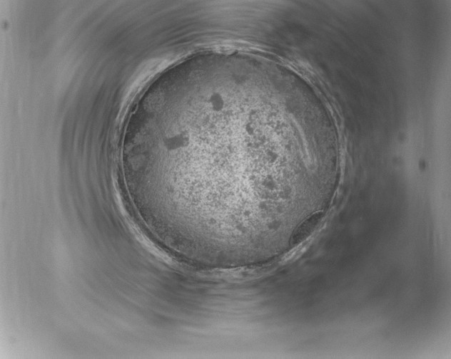 X0000052930049200507221131