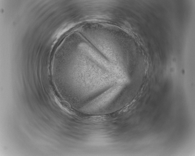 X0000052930050200507221131