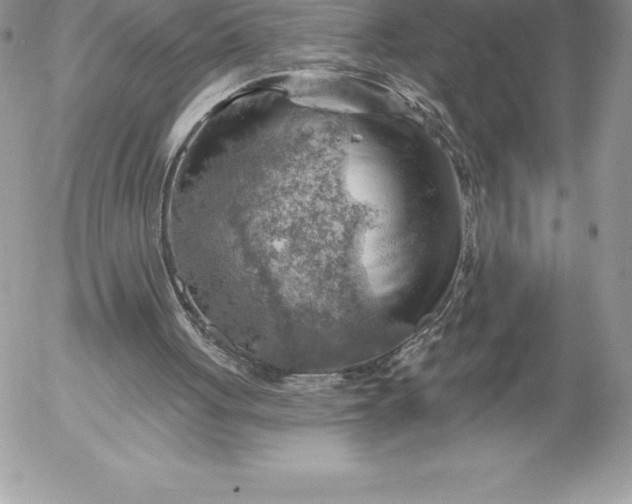 X0000052930051200507221131