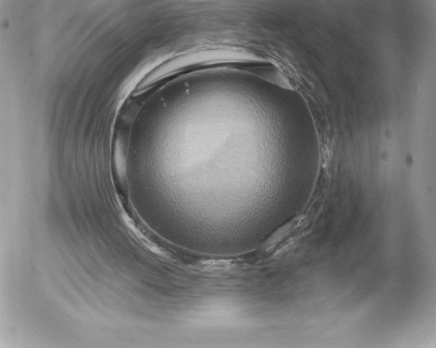 X0000052930052200507221132