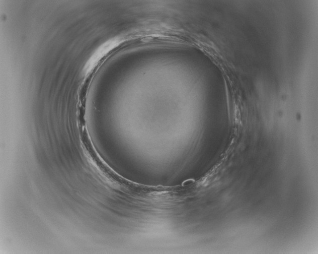 X0000052930054200507221132