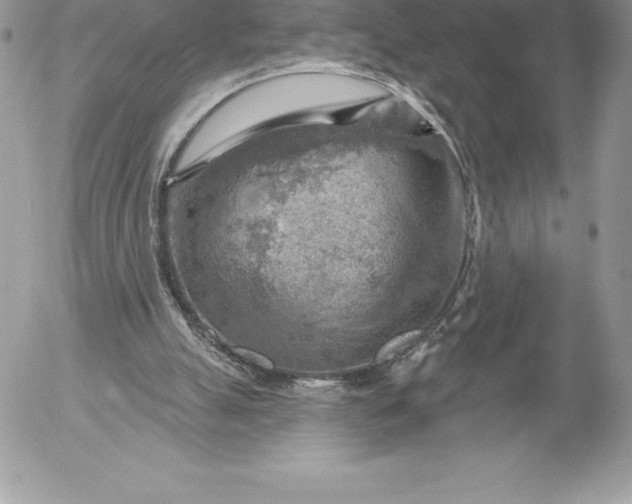 X0000052930055200507221132